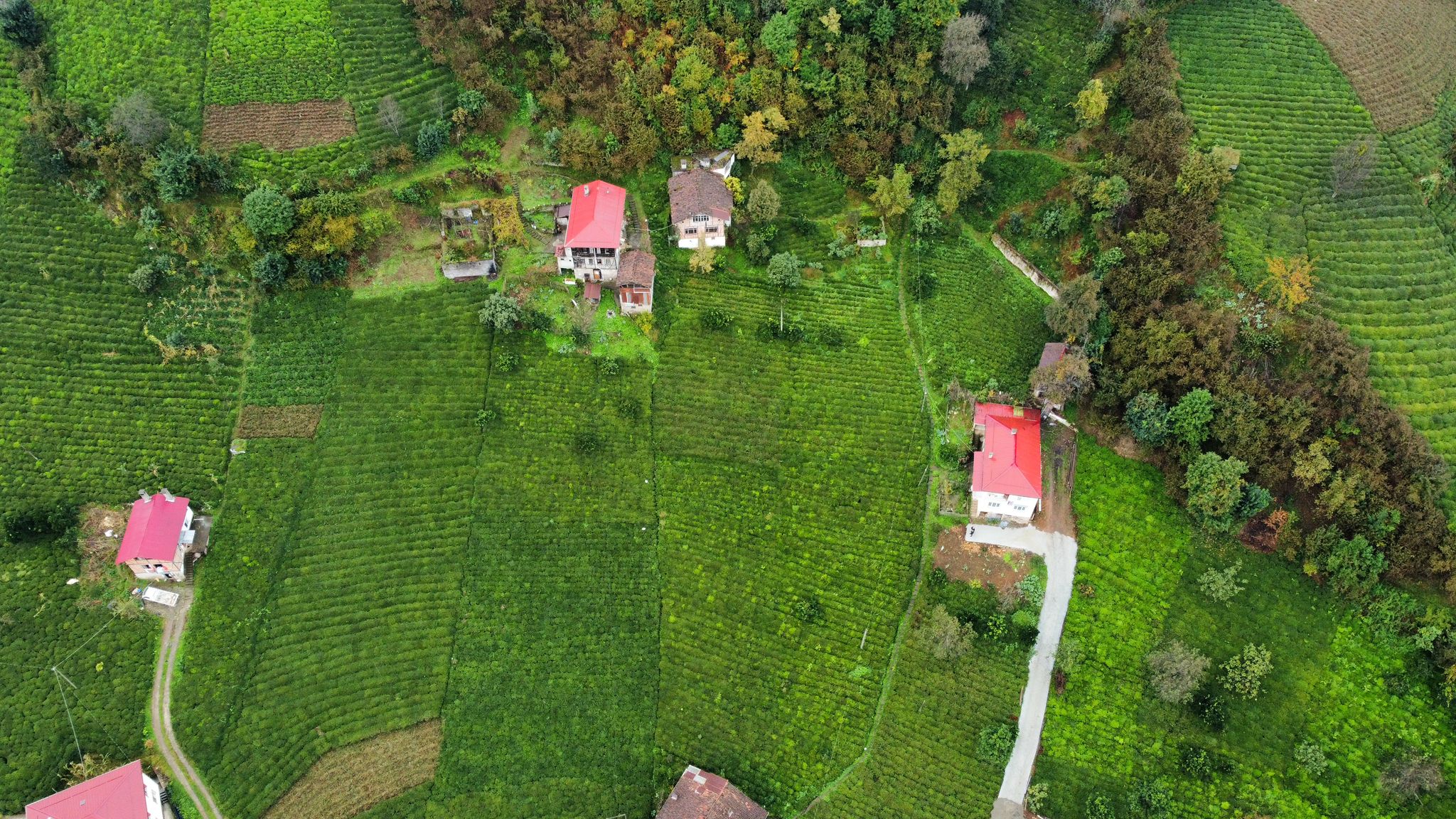 Satılık Trabzon / OF / YAZLIK KÖYÜ