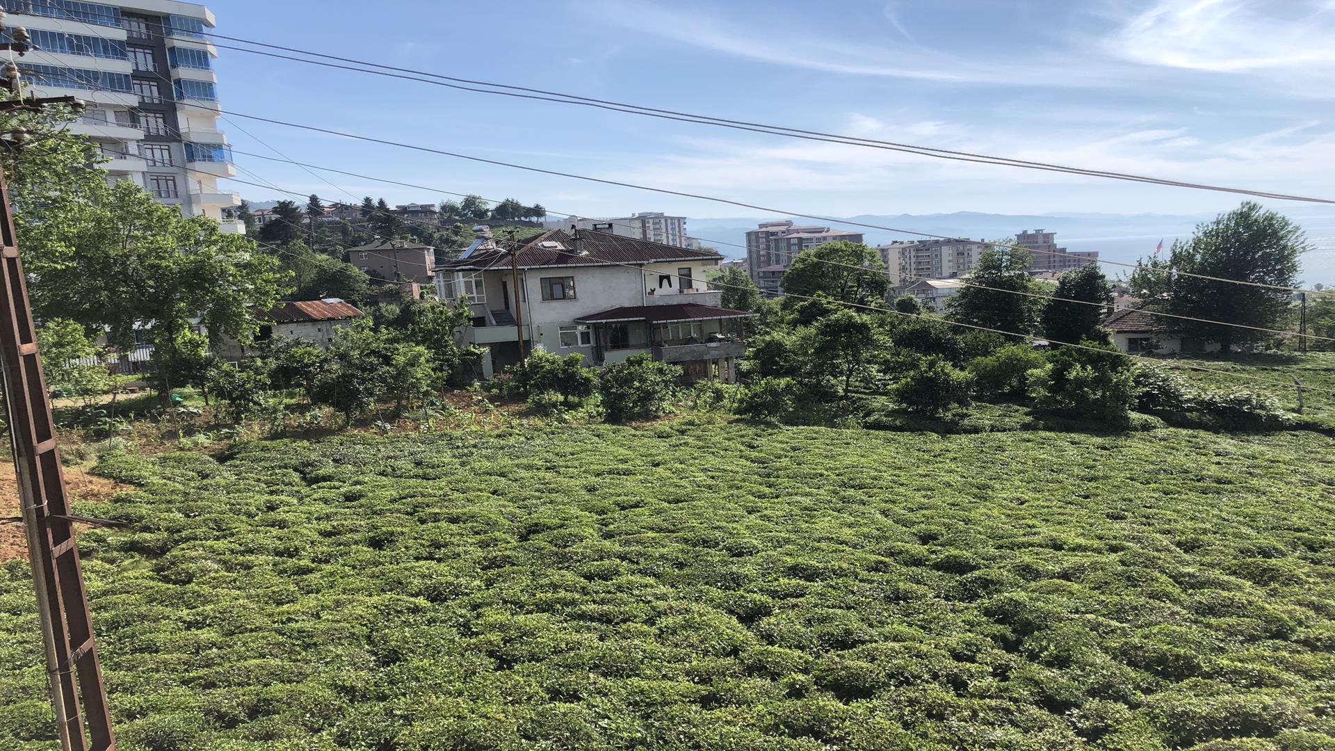 Kiralık Daire, Trabzon / OF / CUMHURİYET MAH.
