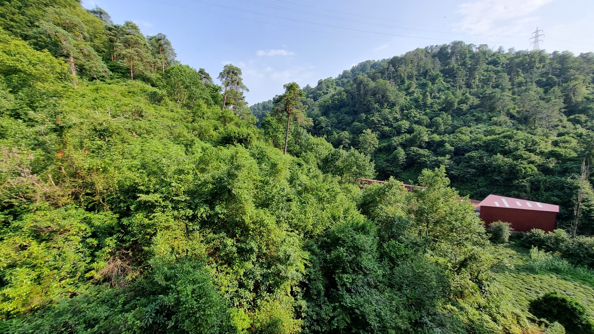 Kiralık Daire, Trabzon / OF / İRFANLI MAHALLESİ
