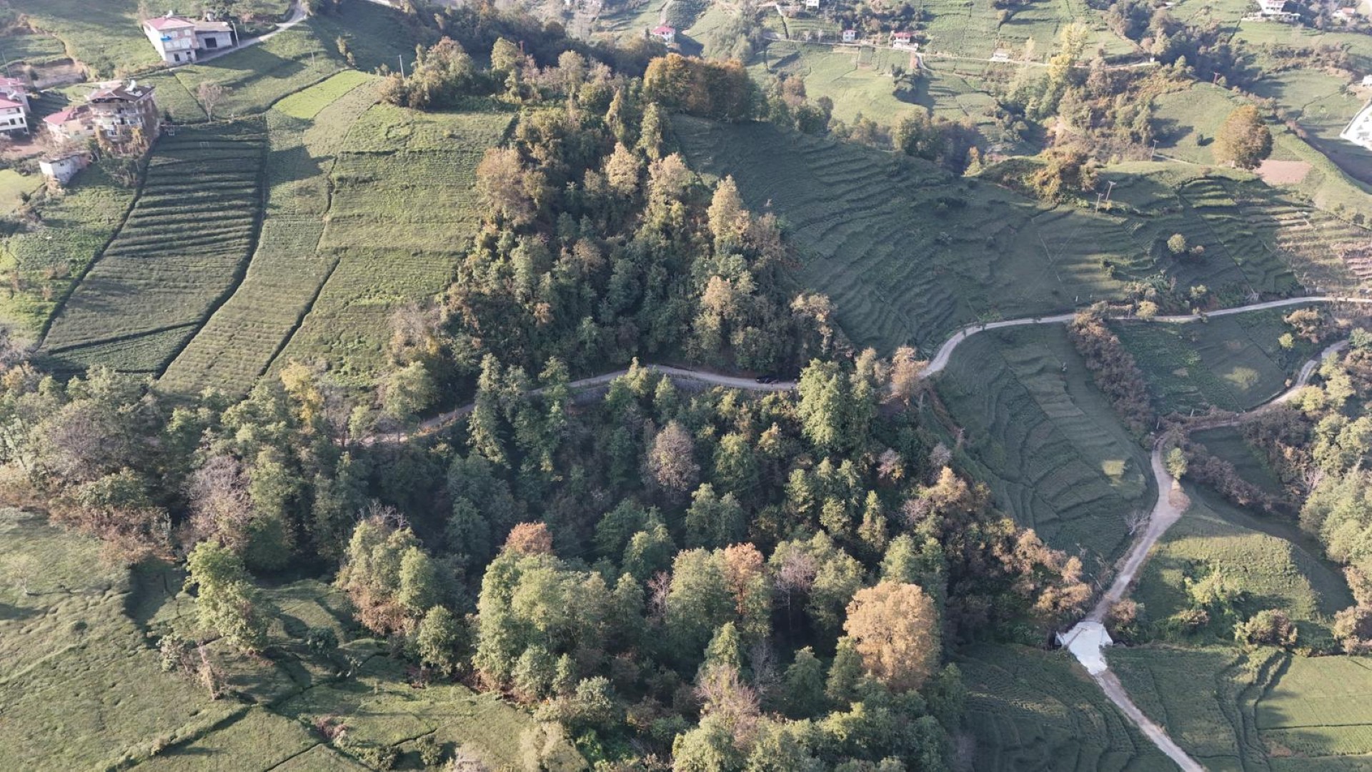 Satılık Trabzon / OF / ÇUKUROVA KÖYÜ MAH.