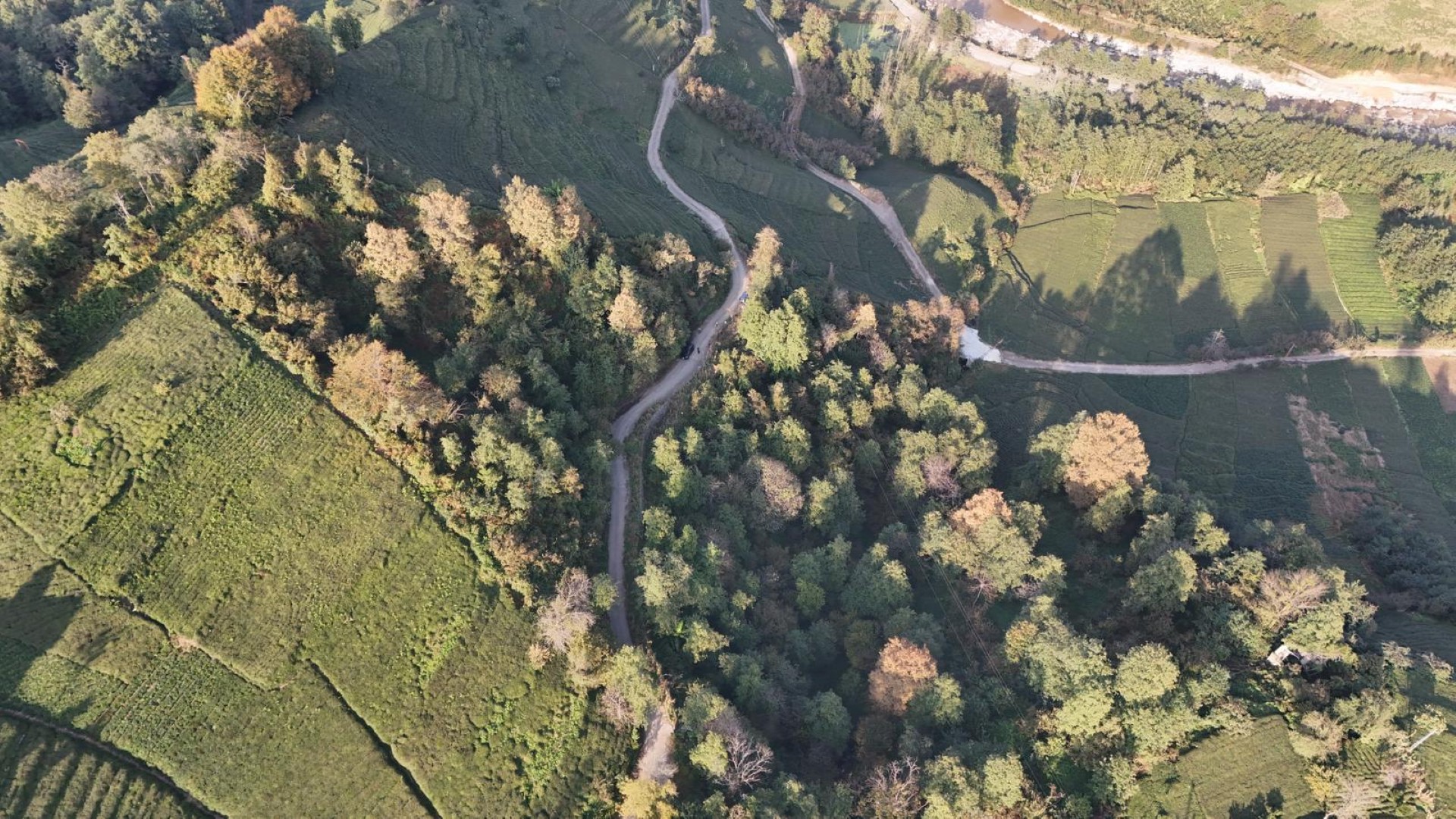 Satılık Trabzon / OF / ÇUKUROVA KÖYÜ MAH.