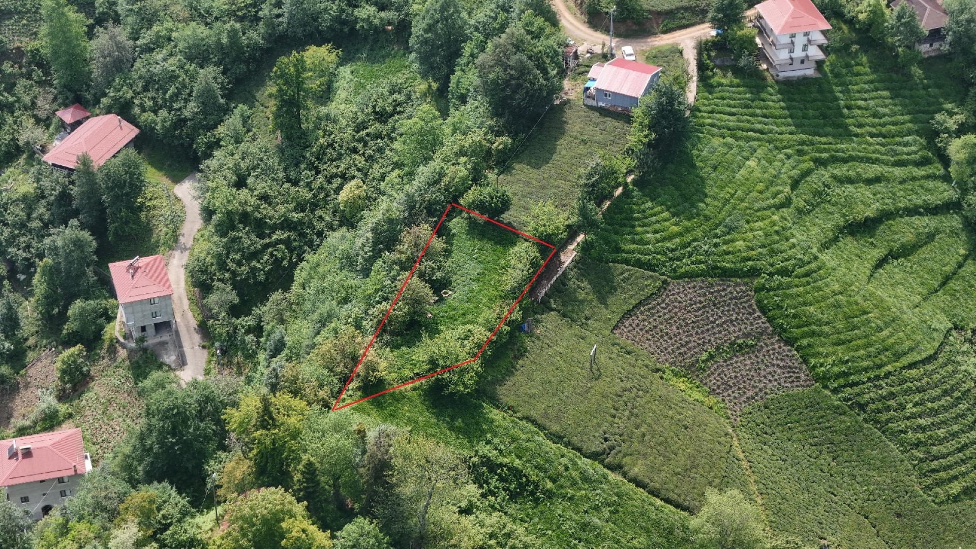 Satılık Trabzon / OF / FINDIKOBA MAHALLESİ