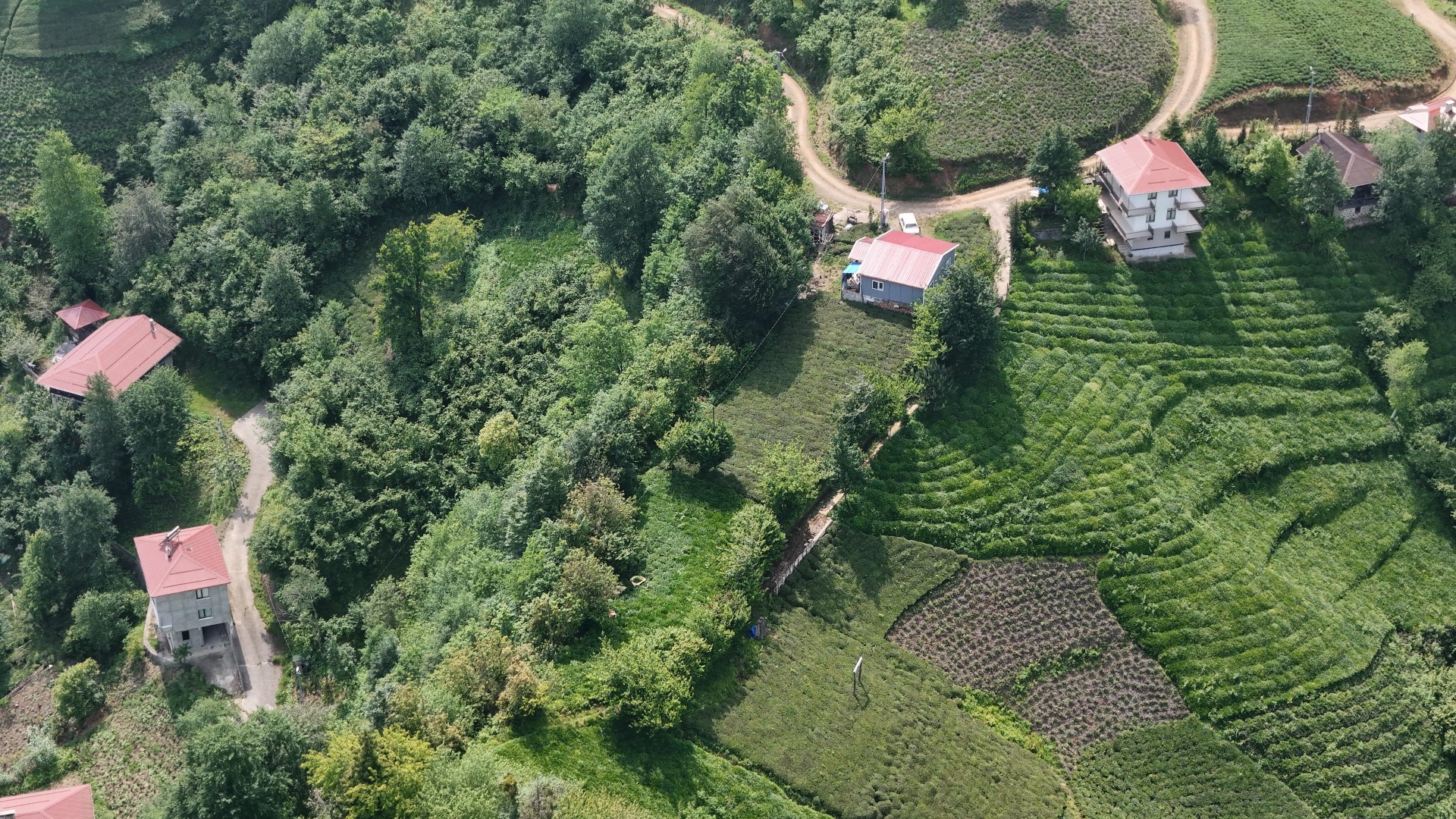 Satılık Trabzon / OF / FINDIKOBA MAHALLESİ
