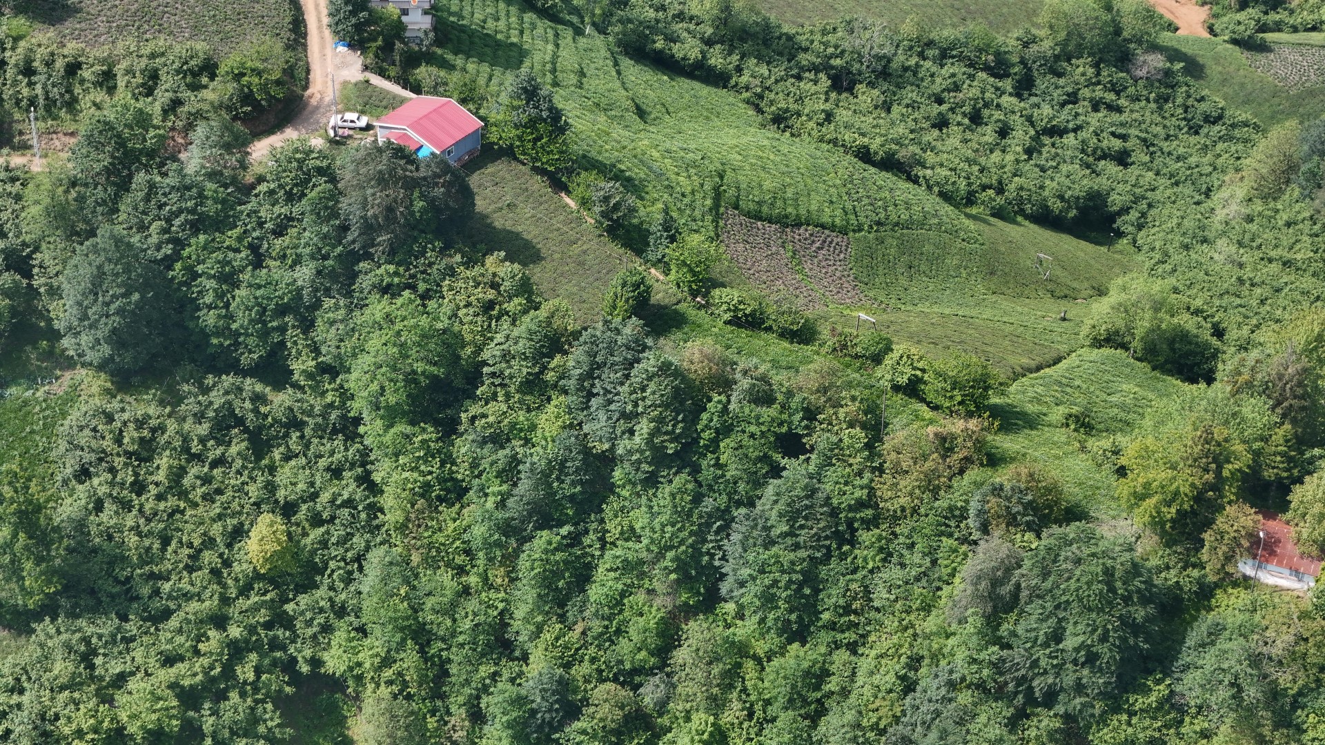 Satılık Trabzon / OF / FINDIKOBA MAHALLESİ