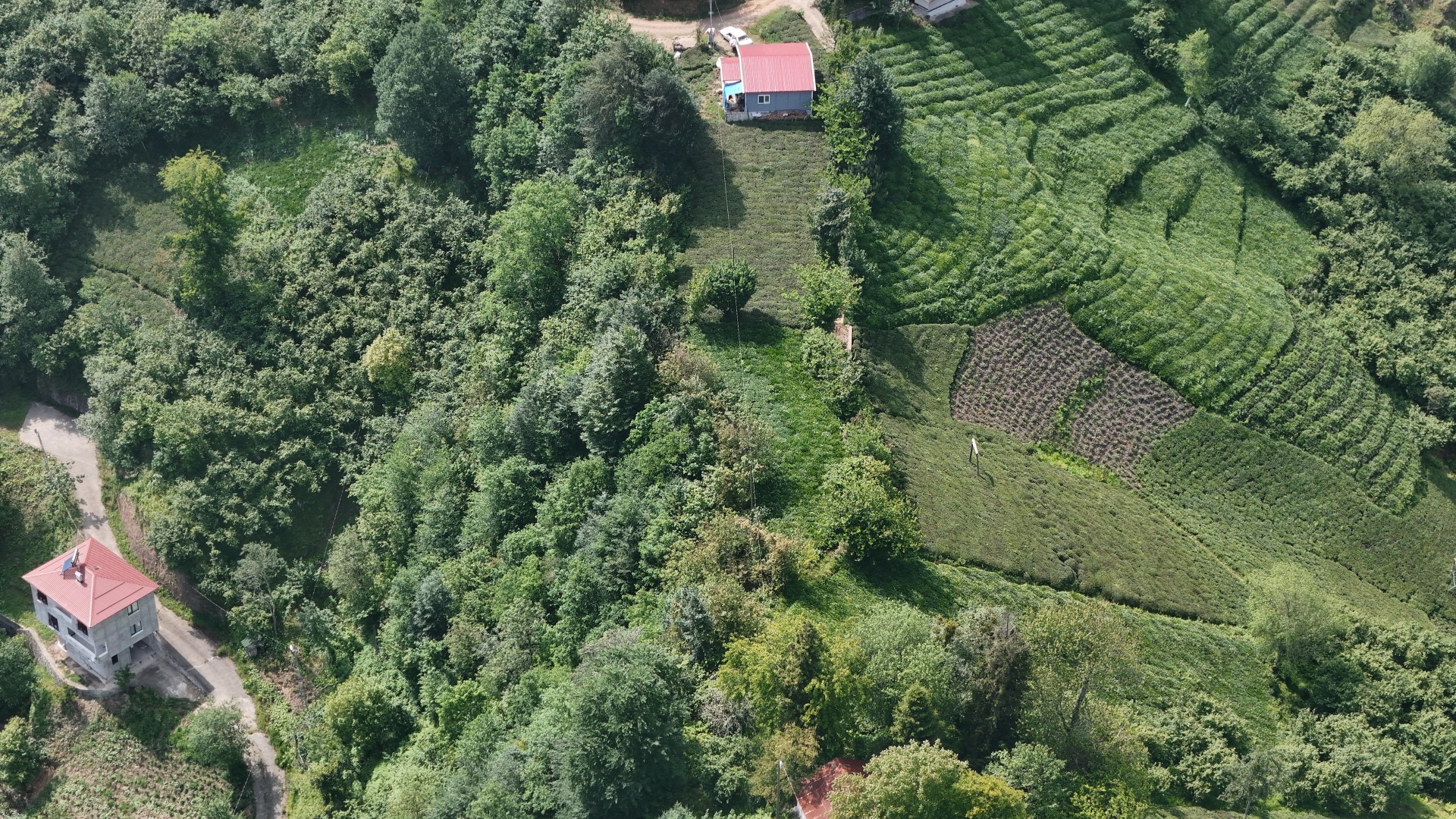 Satılık Trabzon / OF / FINDIKOBA MAHALLESİ