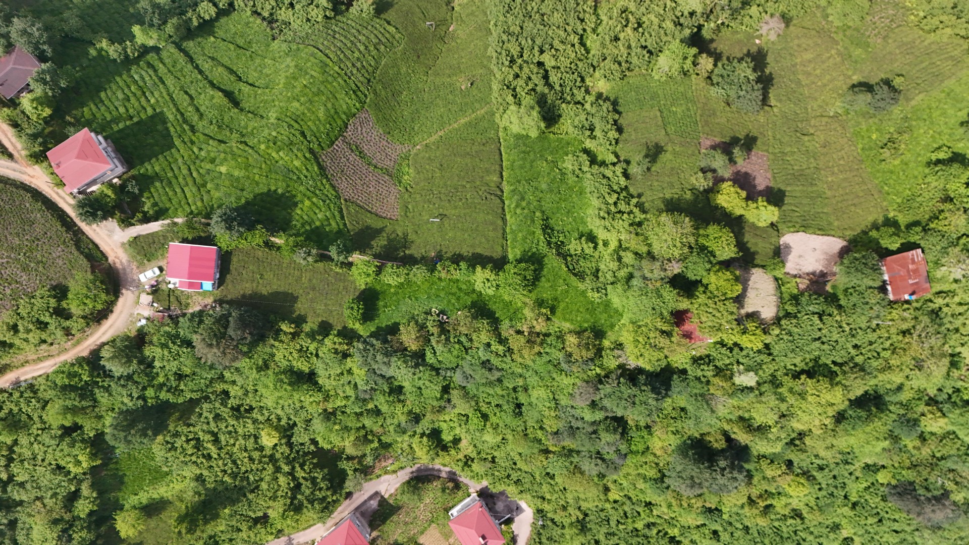 Satılık Trabzon / OF / FINDIKOBA MAHALLESİ