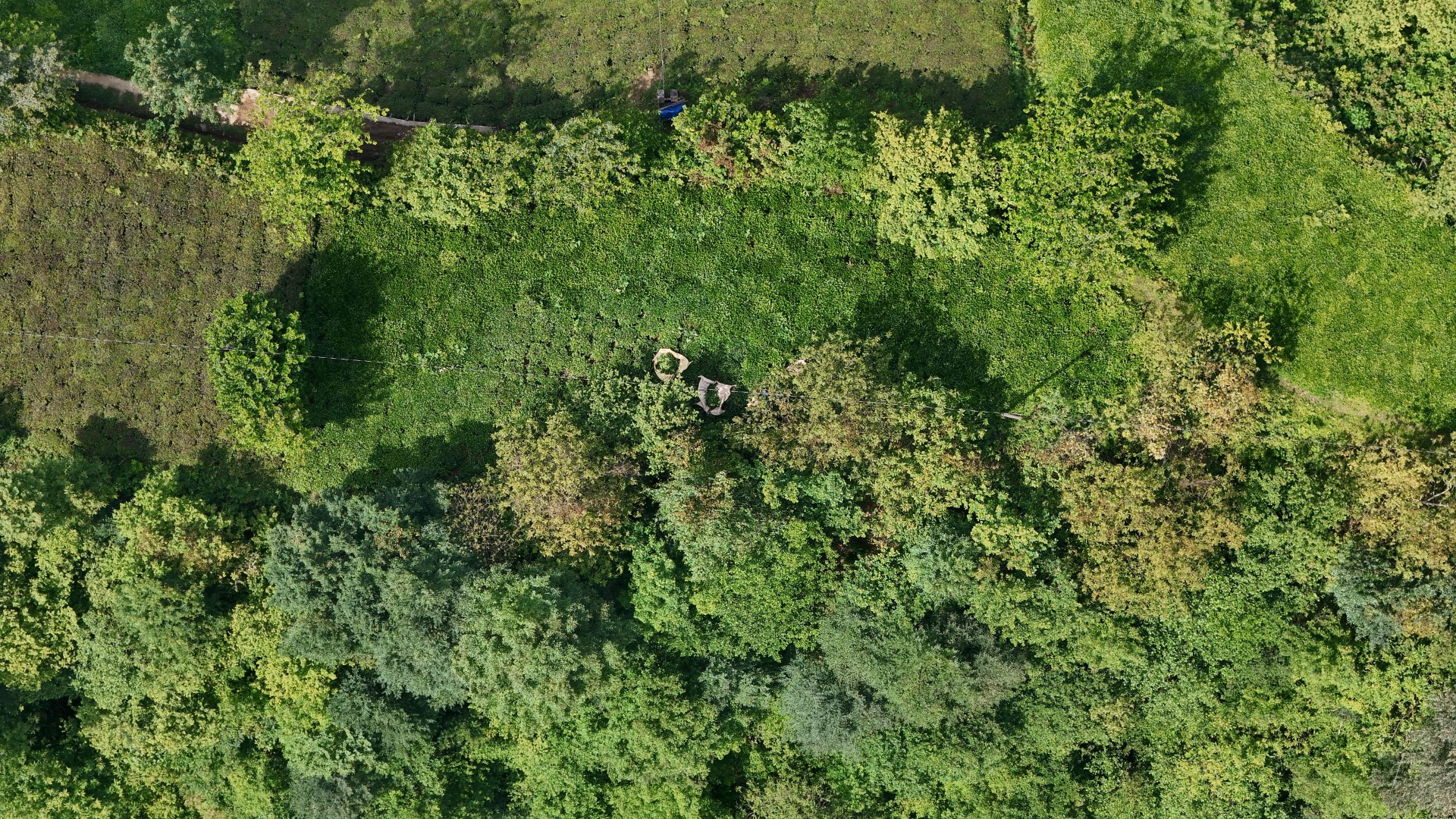 Satılık Trabzon / OF / FINDIKOBA MAHALLESİ