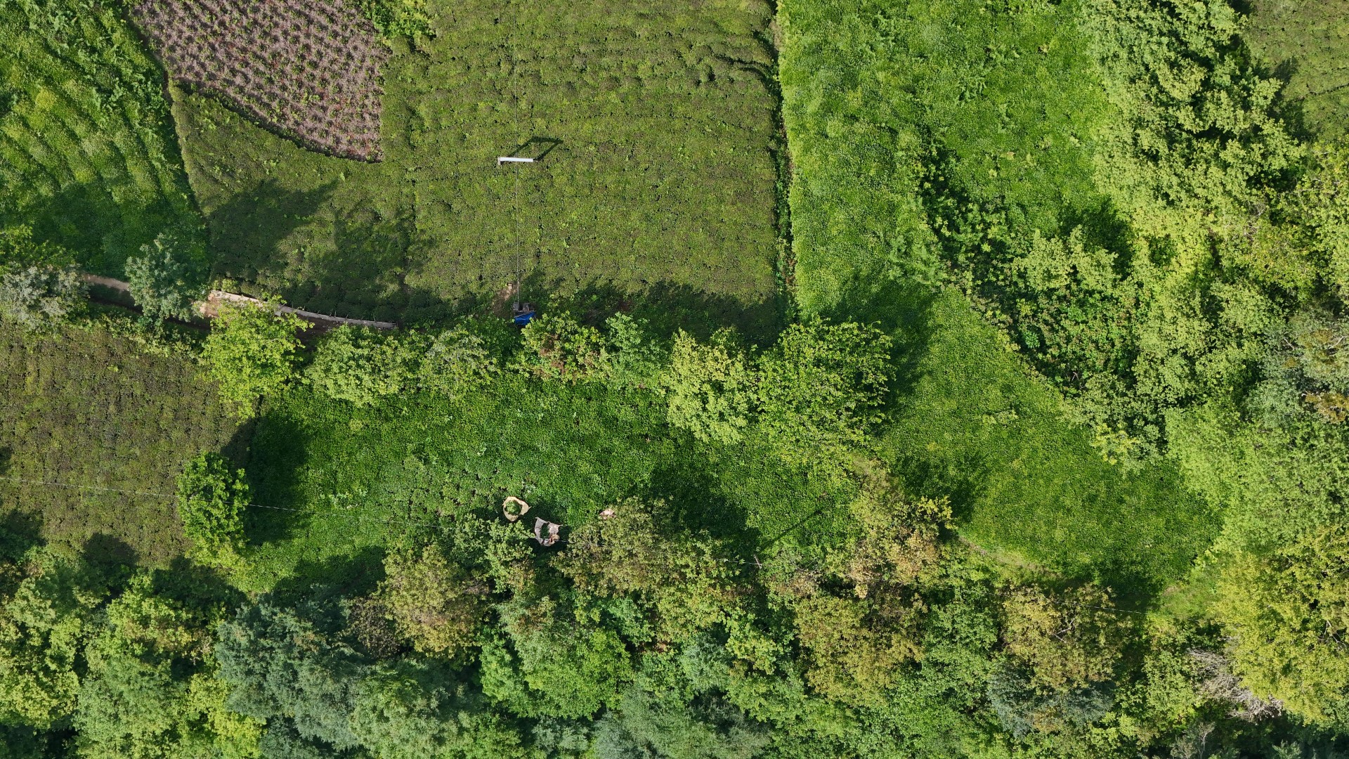 Satılık Trabzon / OF / FINDIKOBA MAHALLESİ
