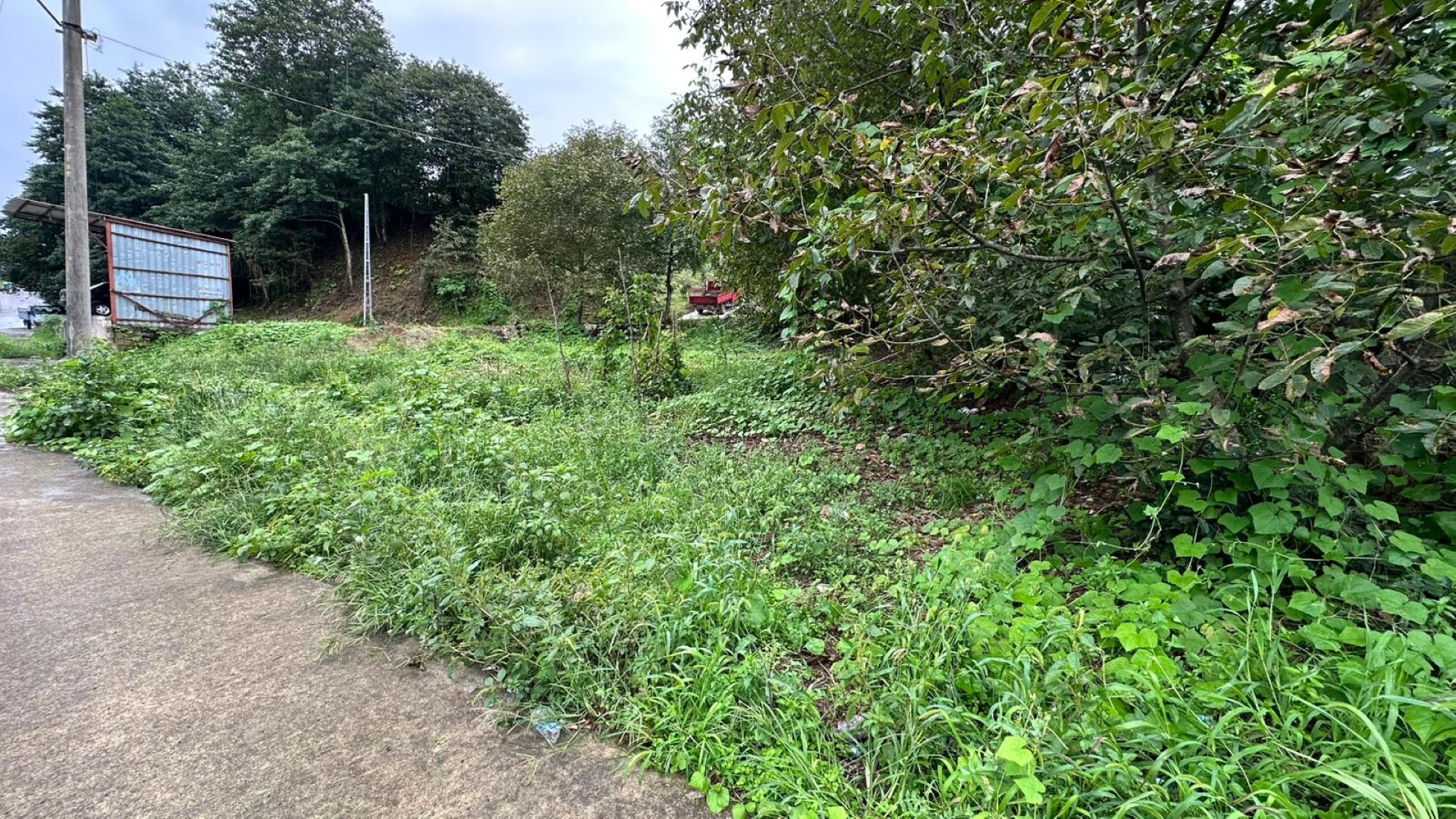 Satılık Trabzon / OF / DUMLUSU MAHALLESİ