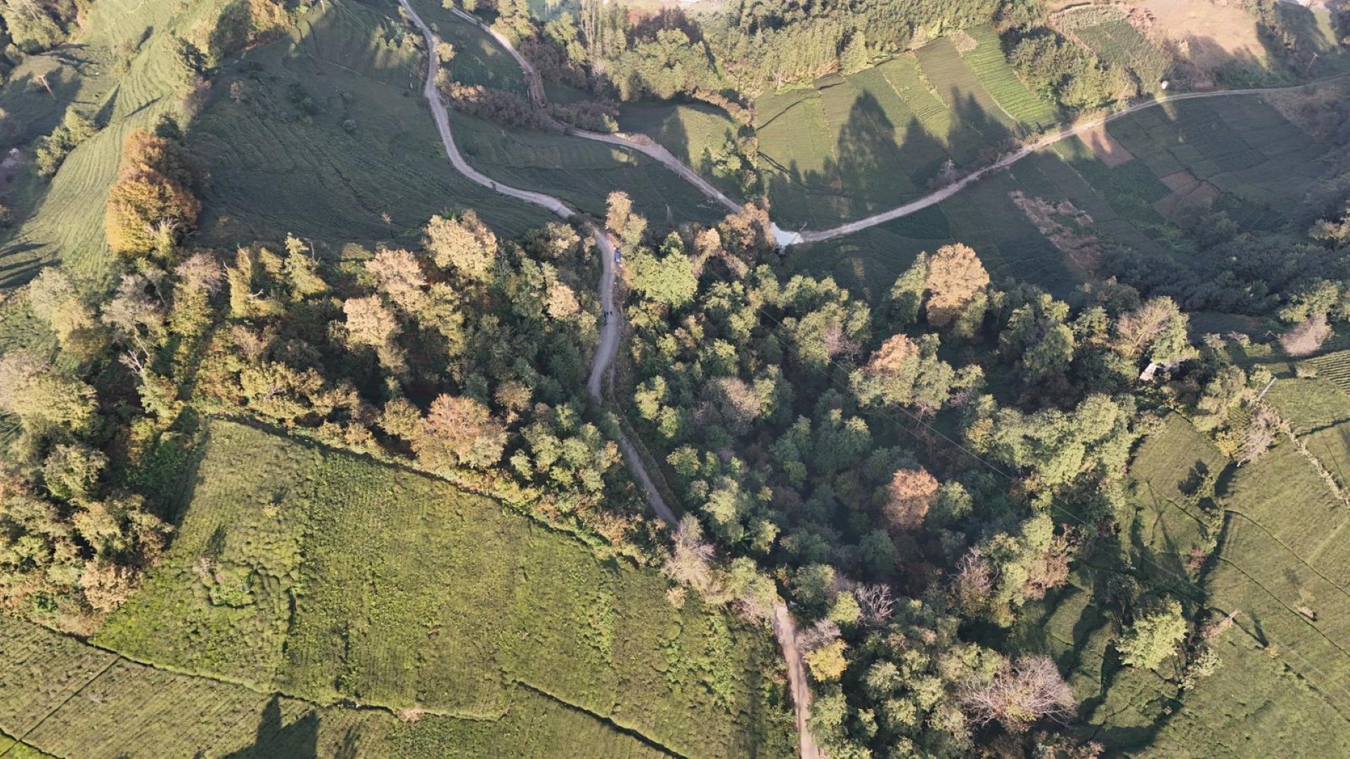 Satılık Trabzon / OF / ÇUKUROVA KÖYÜ MAH.