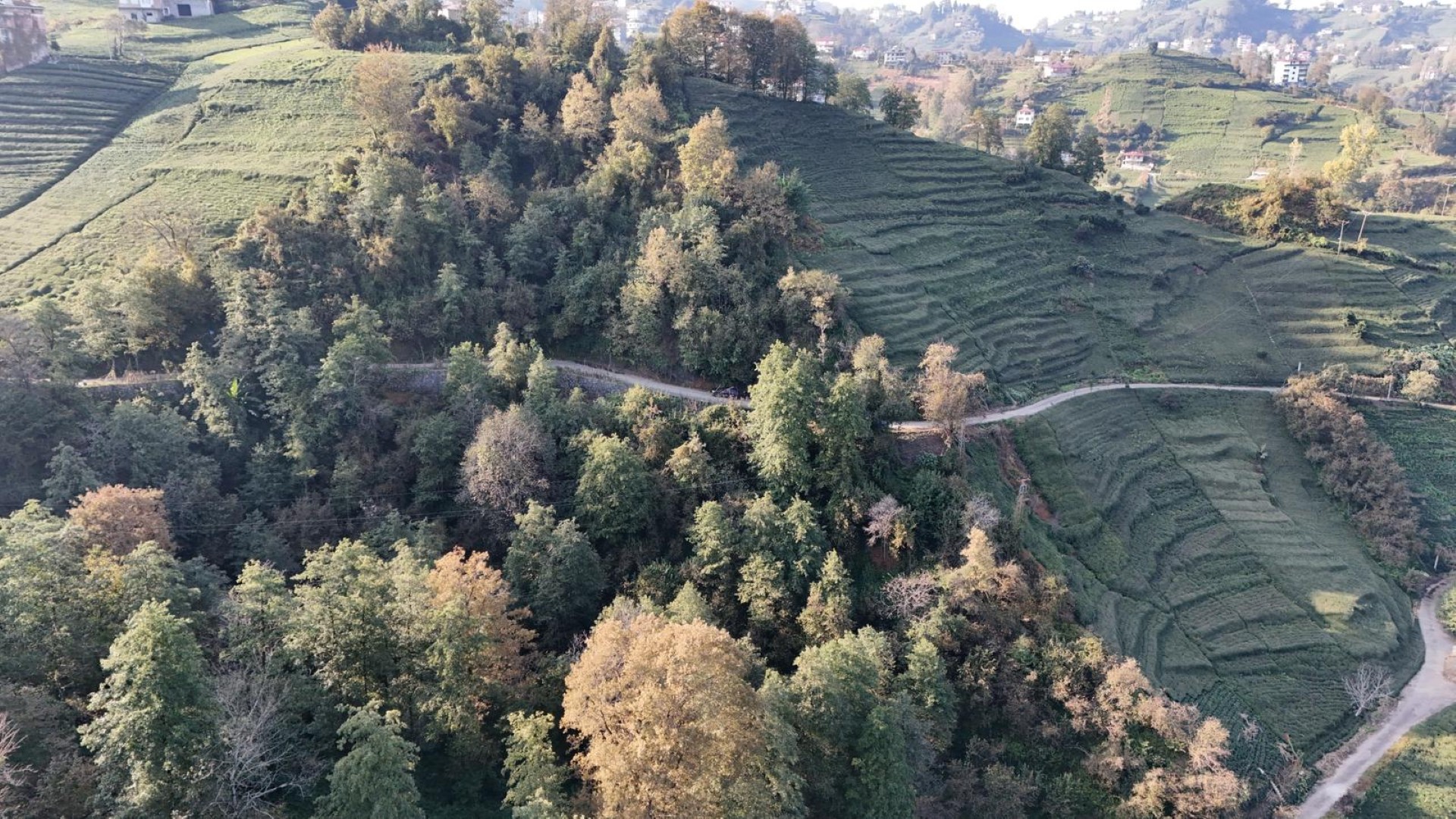 Satılık Trabzon / OF / ÇUKUROVA KÖYÜ MAH.